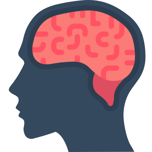 cerebro Inicio